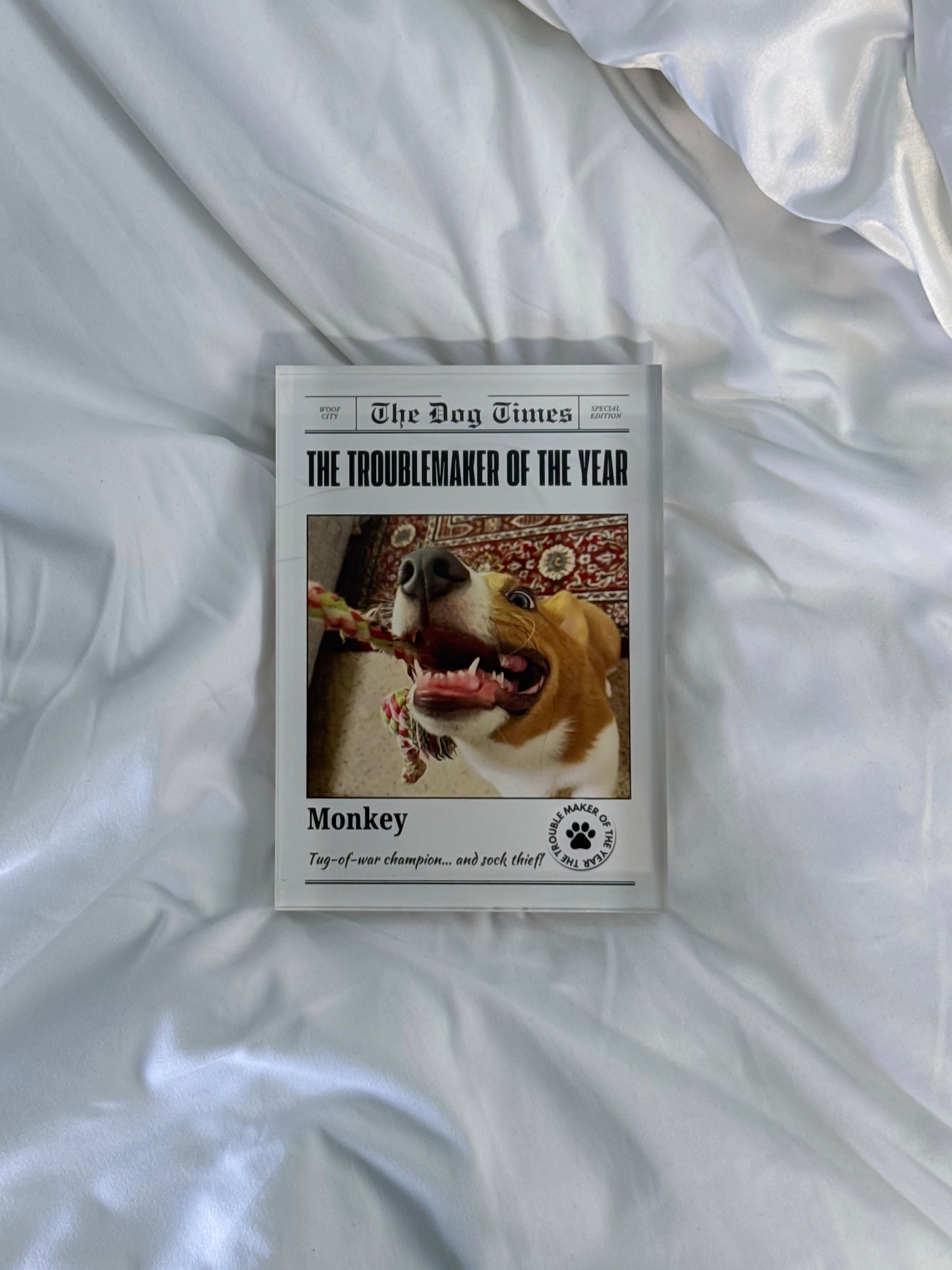 Troublemaker Acrylic Block